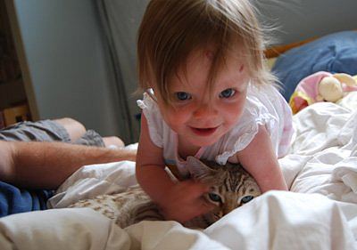 snow leopard bengals